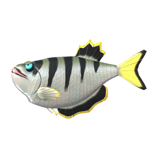 Archerfish