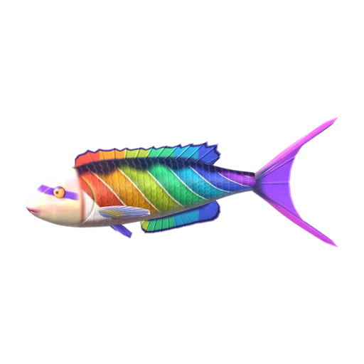 Prism Wrasse