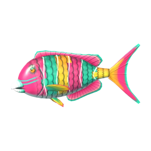 Rainbow Parrotfish