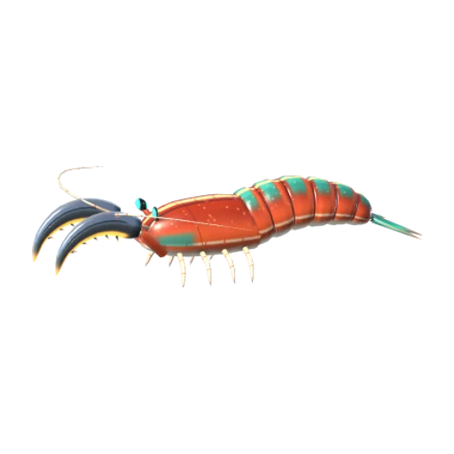 Razor Shrimp