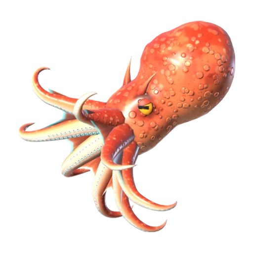 Reef Octopus