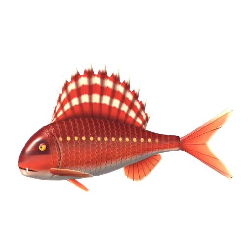 Sailfin Snapper