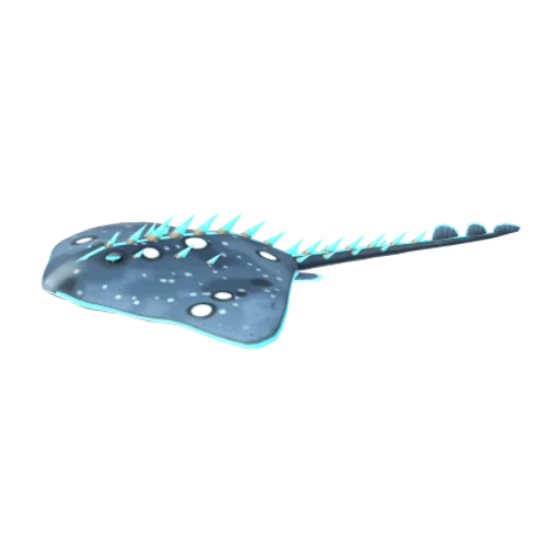 Thornback Skate